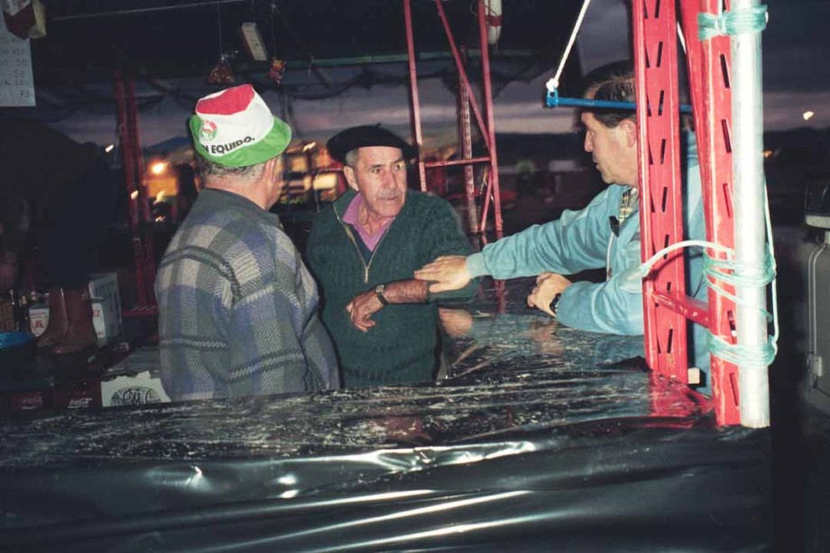 Museo del Nacionalismo Vasco. Alderdi Eguna 1993