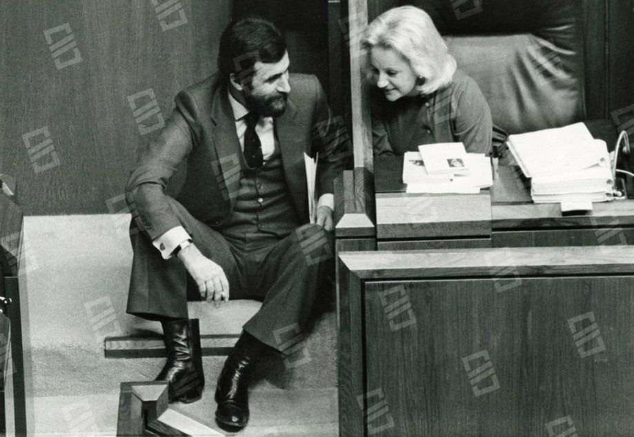 Begoña Amunarriz Olana. Parlamentarias vascas 1980-1984
