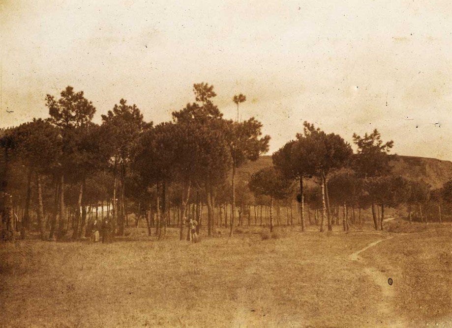Museo del Nacionalismo Vasco. Bilbao